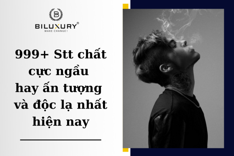 stt Chửi Con Bất Hiếu Thấm Thía Khiến Ai Cũng Phải Suy Ngẫm