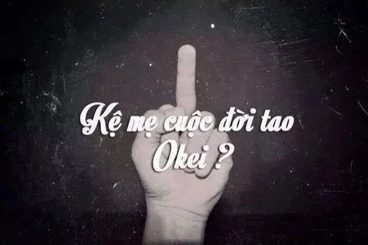 stt đểu chất thấm về cuộc sống và tình yêu, thể hiện sự mỉa mai qua ngôn ngữ mạnh mẽ