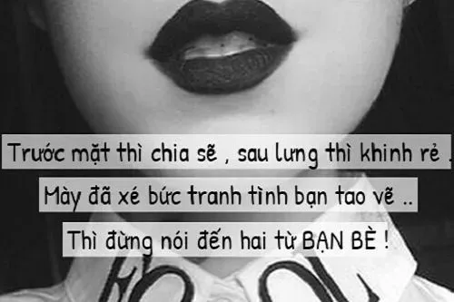 stt đểu chất thấm về tình bạn và những bài học về lòng tin bị đánh mất