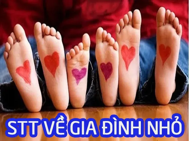 Stt gia đình nhỏ hạnh phúc to thể hiện sự gắn kết giữa các thành viên