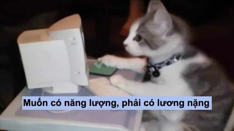 STT hài hước về công việc: Muốn có năng lượng phải có lương nặng