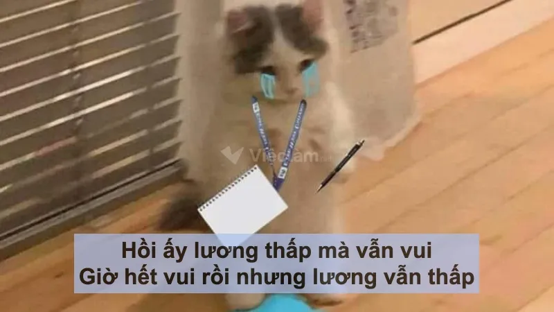 STT hài hước về công việc: Hồi ấy lương thấp mà vẫn vui