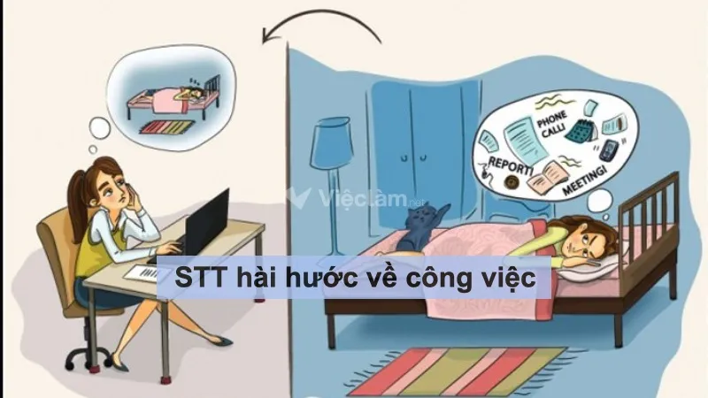Tổng hợp những stt hài hước về công việc giúp bạn thư giãn
