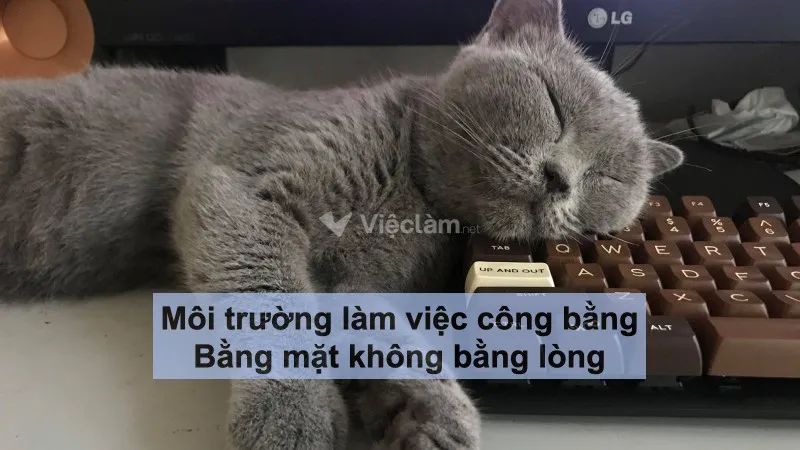 STT hài hước về công việc: Bằng mặt không bằng lòng