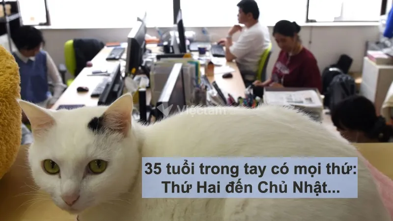 STT hài hước về công việc: 35 tuổi có mọi thứ