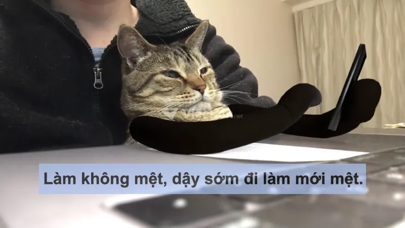 STT hài hước về công việc: Dậy sớm đi làm mới mệt