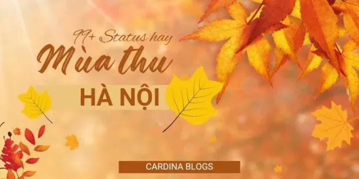 Mùa thu Hà Nội mang vẻ đẹp bình yên với những chiếc lá vàng rơi trên phố cổ