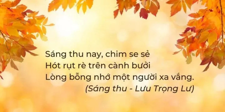 Hình ảnh đường phố Hà Nội mùa thu với những gánh hoa rực rỡ sắc màu