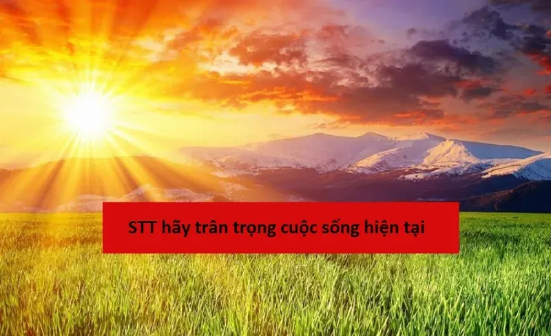 Trân trọng những khoảnh khắc đơn giản là chìa khóa của sự bình yên