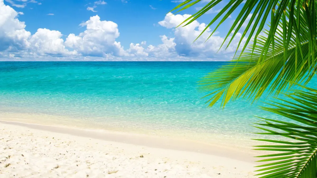 Caption hài hước về biển là lựa chọn tuyệt vời để khoe những khoảnh khắc vui chơi đầy sảng khoái