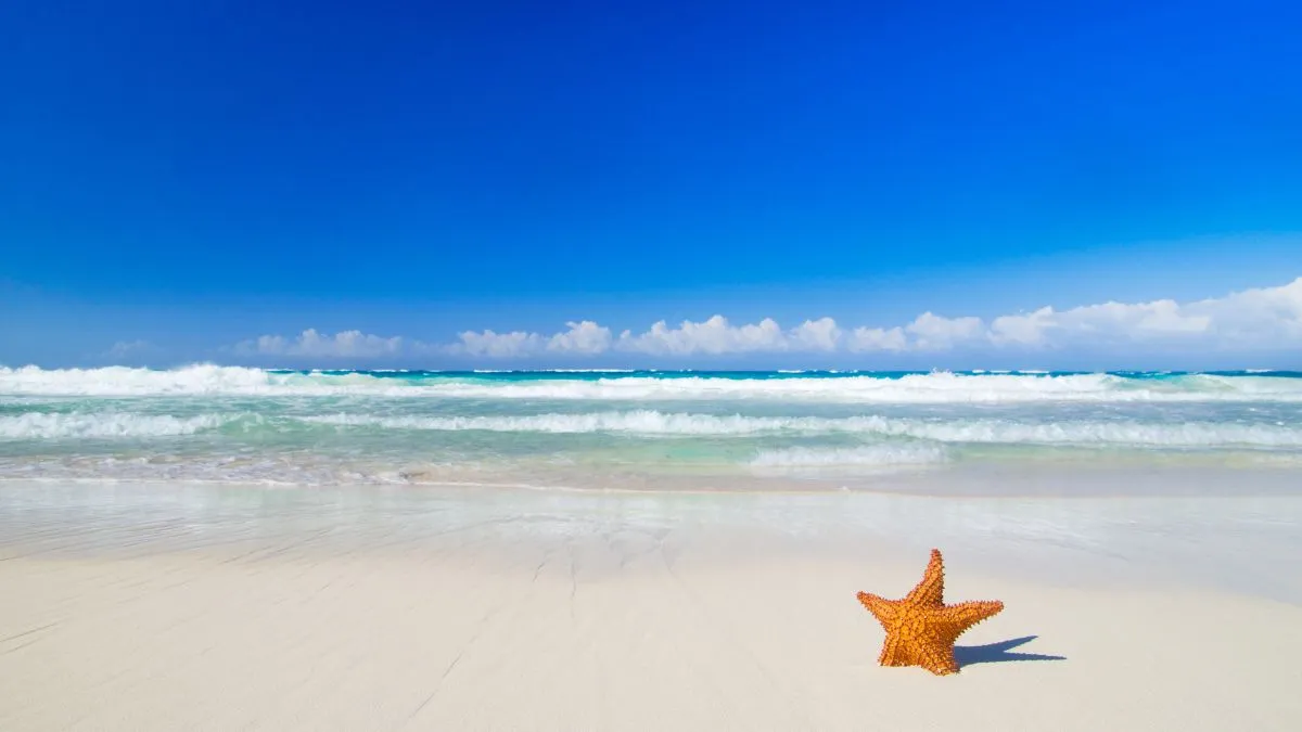 Thơ ca về biển mang lại nét lãng mạn và chiều sâu cho những dòng trạng thái của bạn