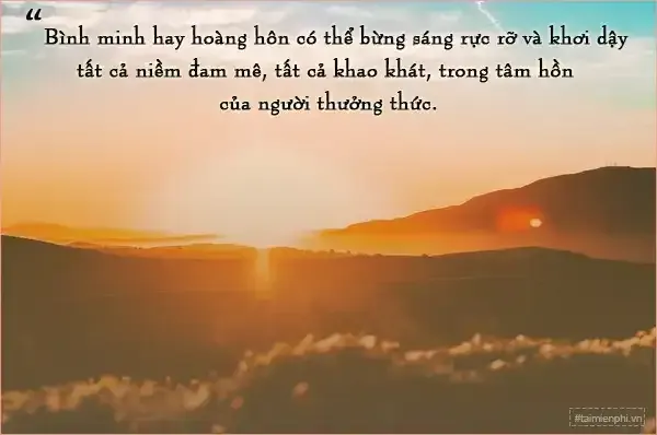 Khung cảnh buổi chiều lãng mạn với ánh nắng cuối ngày trải dài