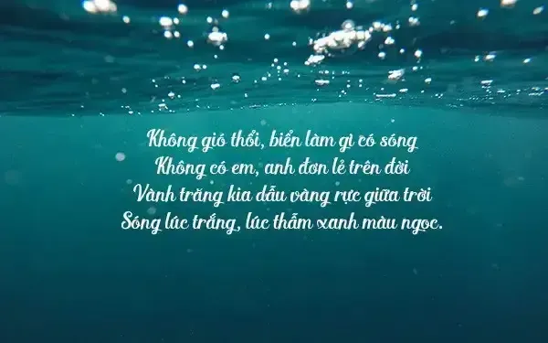 Stt Hay Về Cá Cảnh: Tuyển Tập Caption Độc Đáo