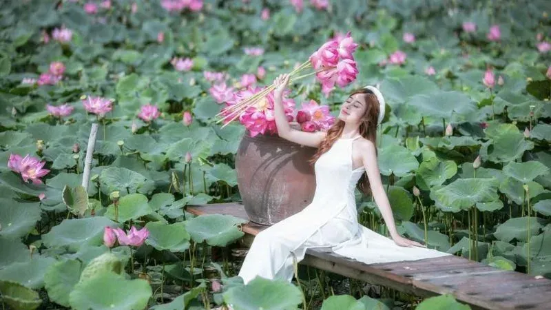 Những câu stt hay về hoa sen mang ý nghĩa sâu sắc về sự kiên cường