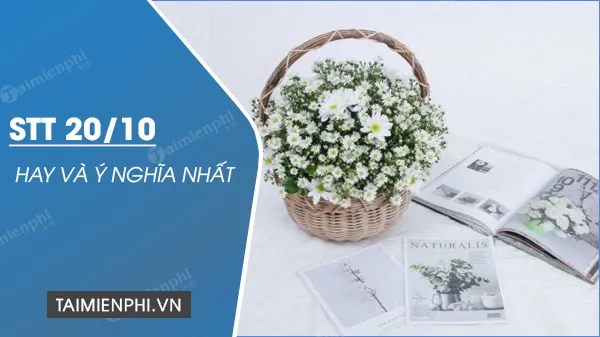 Hình ảnh minh họa các câu stt về ngày 20 10 mang ý nghĩa sâu sắc tôn vinh phái đẹp