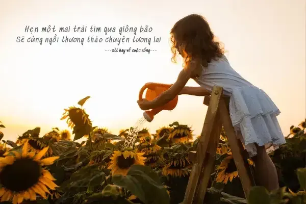 stt hay về quả chuối