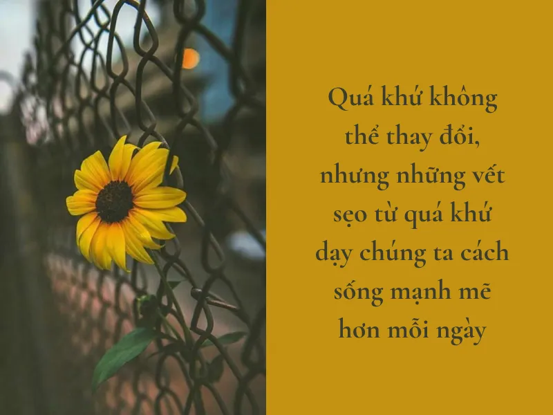 Hình ảnh minh họa cho nỗi nhớ và sự tiếc nuối những kỷ niệm đã qua