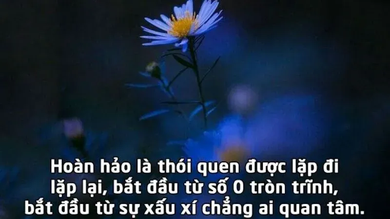 Chấp nhận những khiếm khuyết của đối phương là bí quyết để có một tình yêu bền vững