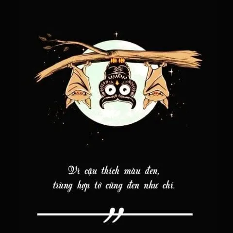 stt về màu đen trắng - Những cung bậc cảm xúc trong tình yêu đơn sắc