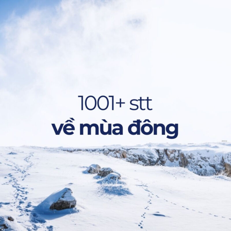 Tổng Hợp stt mùa đông hài hước Và Độc Đáo Nhất