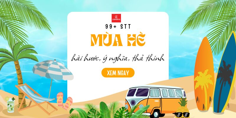 stt Mùa Hè Hài Hước Để Trang Cá Nhân Của Bạn Bùng Nổ