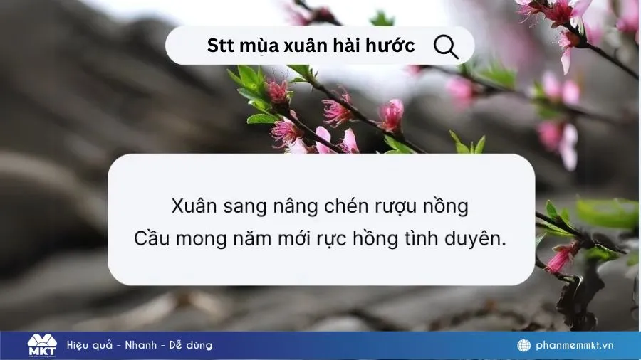 90+ Stt mùa xuân hài hước và độc đáo