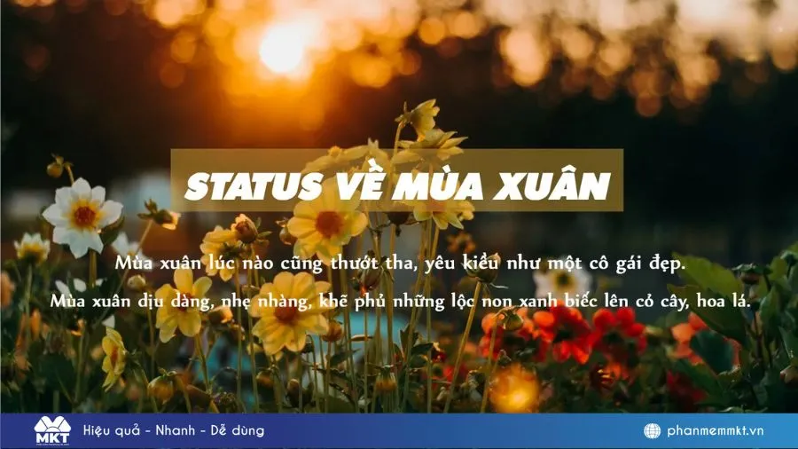 90+ Stt mùa xuân hài hước và độc đáo