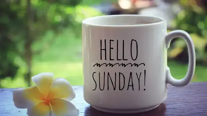 Hình ảnh gợi nhắc về lòng biết ơn và sự tĩnh lặng trong chiều cuối năm