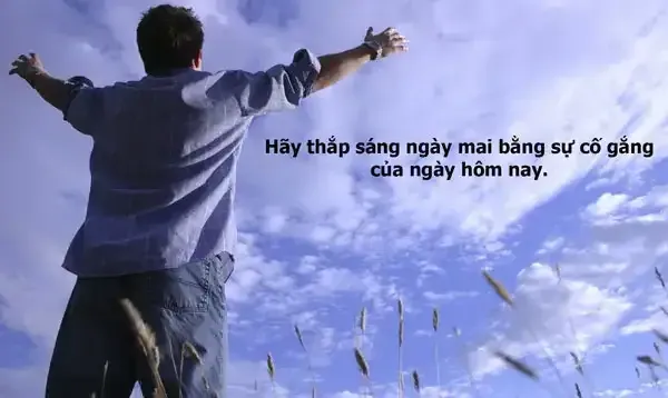 Những câu stt phấn đấu cho tương lai giúp khơi dậy tiềm năng mạnh mẽ bên trong mỗi con người