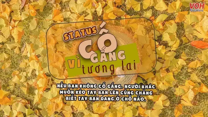 Tinh thần quyết tâm thực hiện ước mơ thông qua những hành động cụ thể và sự chuẩn bị kỹ lưỡng