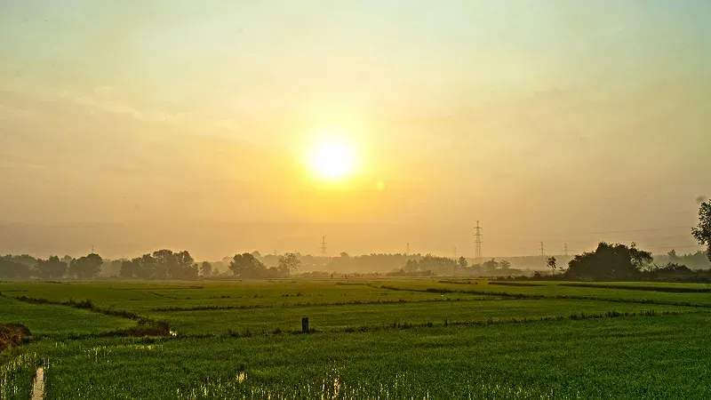 Hình ảnh nắng sớm rạng rỡ khởi đầu ngày mới tràn đầy năng lượng