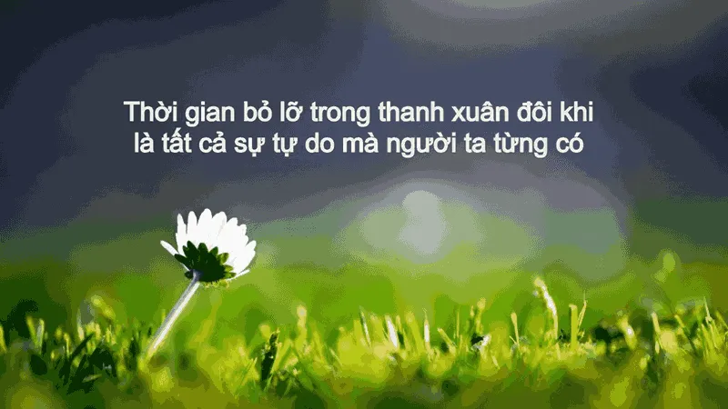 Top stt sống không biết điều sâu sắc, đáng suy ngẫm