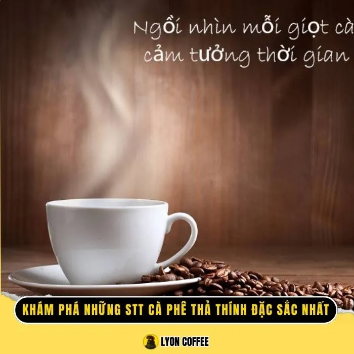 Những câu stt cà phê thả thính đặc sắc hay nhất mọi thời đại