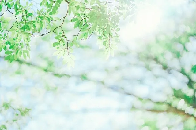 Những stt về thanh xuân tươi đẹp và ý nghĩa nhất hiện nay