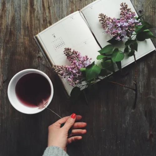 Những dòng stt về thanh xuân tươi đẹp đầy cảm động