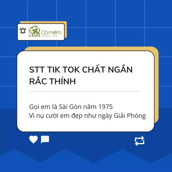 Những stt tik tok chất ngắn dùng để rắc thính hiệu quả