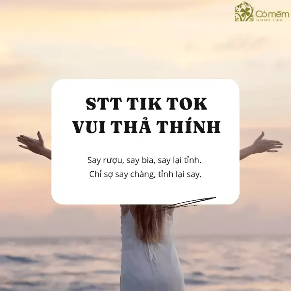 Các mẫu stt vui nhộn giúp video tik tok của bạn thêm phần sinh động