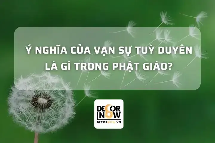 Triết lý vạn sự tùy duyên mang lại sự cân bằng trong công việc