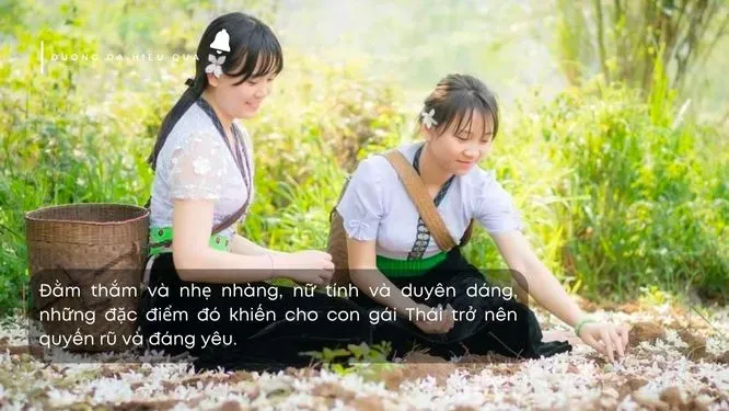 Những stt về cô gái dân tộc Thái xinh đẹp