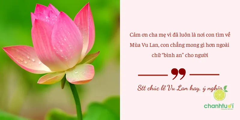Gửi gắm lời chúc chân thành và món quà ý nghĩa đến cha mẹ trong dịp đại lễ Vu Lan báo hiếu