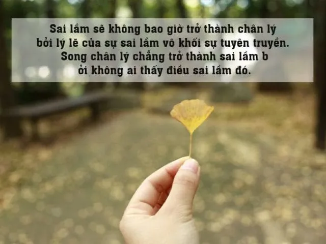 Bài học từ những sai lầm trong quá khứ giúp con người trưởng thành