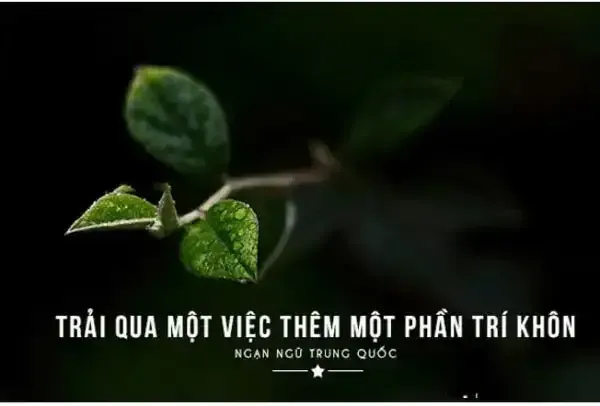 Những dòng stt hay giúp xoa dịu nỗi đau bị đối xử bất công