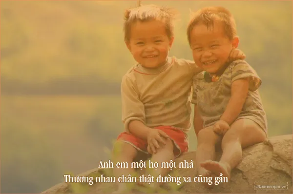 Stt hay về tình anh em ruột thịt được nhiều người yêu thích