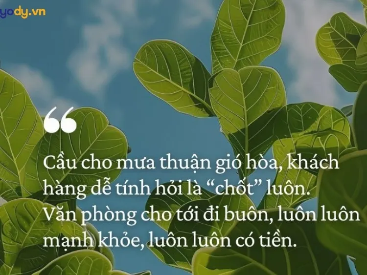 Hình ảnh tổng hợp stt mùng 1 đầu tháng hài hước và may mắn cho mọi người