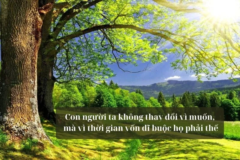 Những câu nói hay về cách thời gian định hình lại tính cách con người