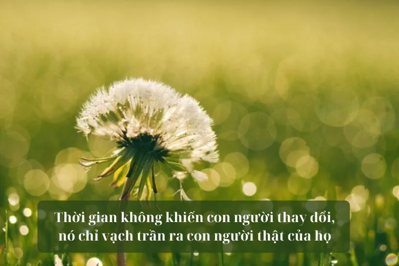 Hình ảnh gợi nhắc về những bài học thâm thúy mà thời gian mang lại