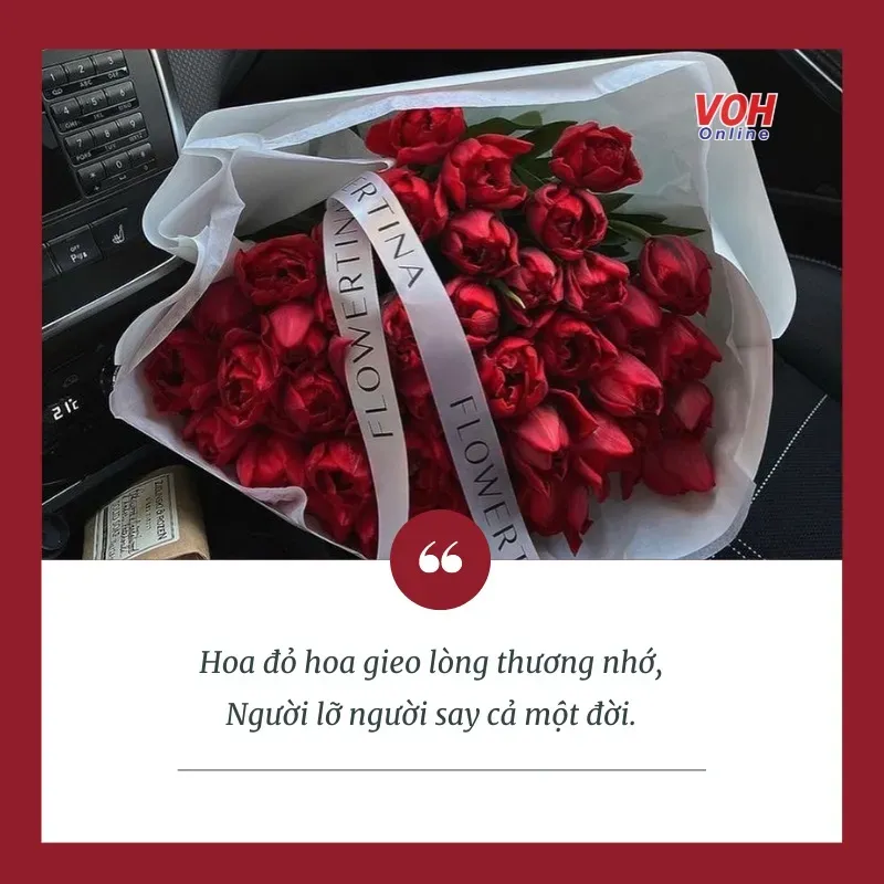 Vẻ đẹp của hoa cỏ luôn khiến tâm hồn con người trở nên nhẹ nhàng và tràn đầy cảm hứng yêu thương