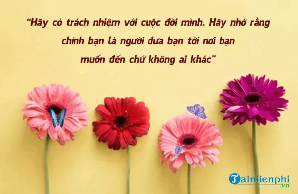 stt ngày mới yêu thương lan tỏa niềm vui đến mọi người