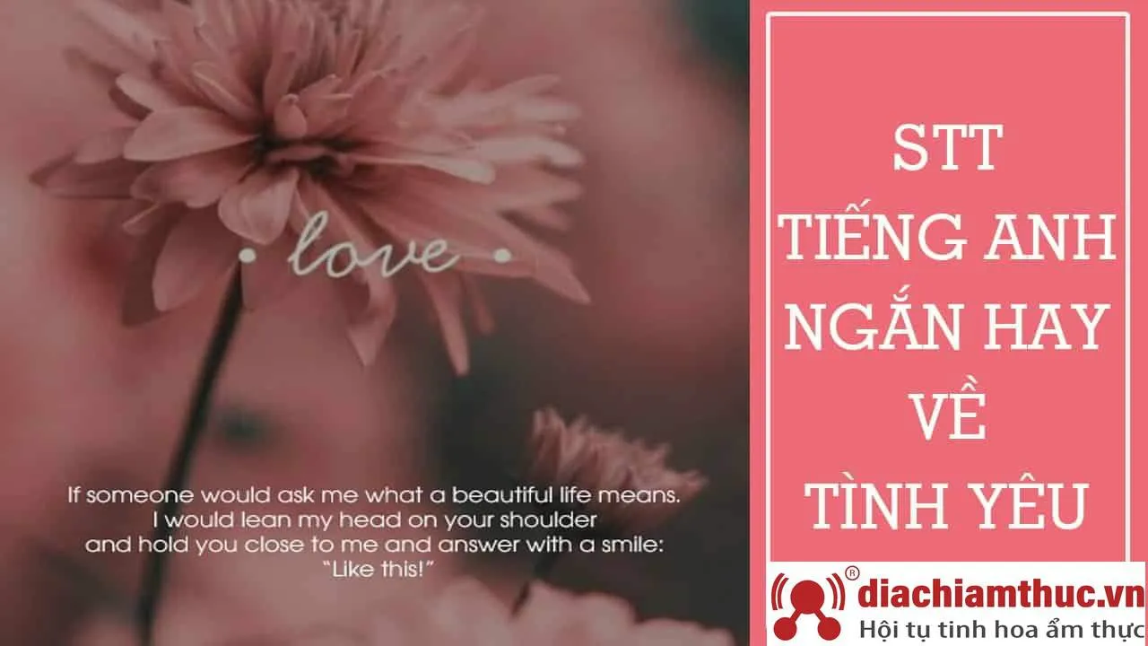 Tổng hợp những câu nói tiếng Anh ý nghĩa về chủ đề độc thân