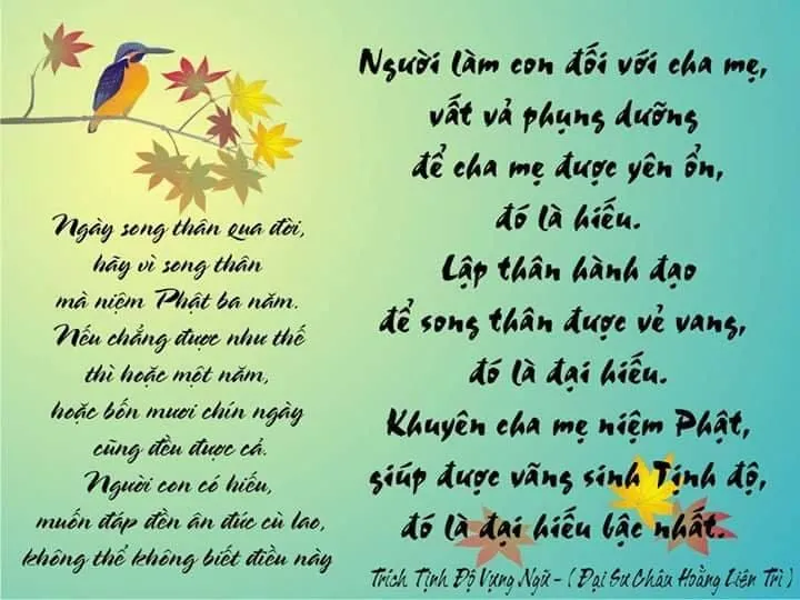 Hình ảnh minh họa về sự khởi đầu và vẻ đẹp của sự sống tự nhiên